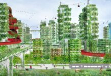 Χτίζοντας πόλεις με δέντρα