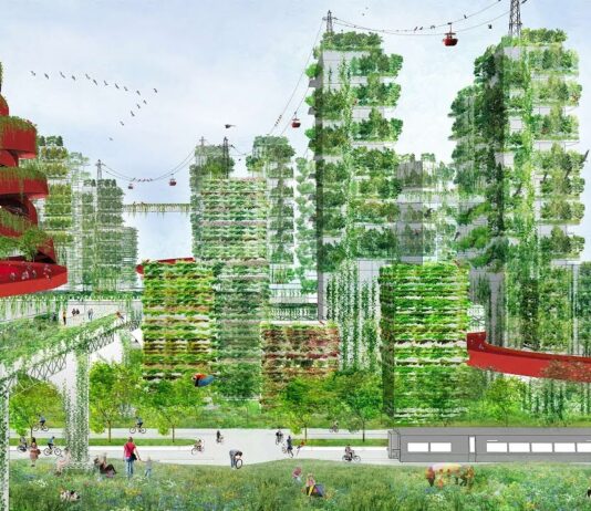 Χτίζοντας πόλεις με δέντρα